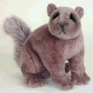 cuddly toy squirrel